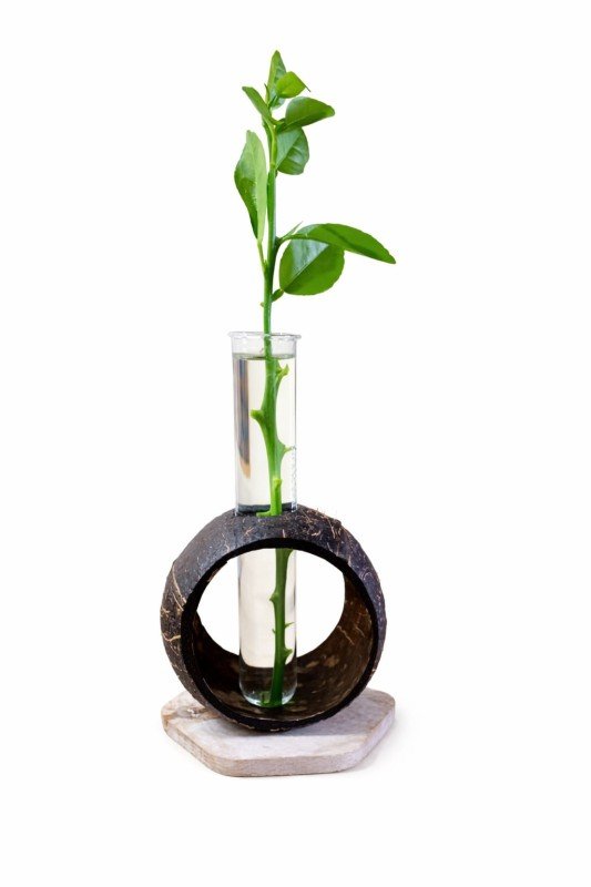 Indoor Planters